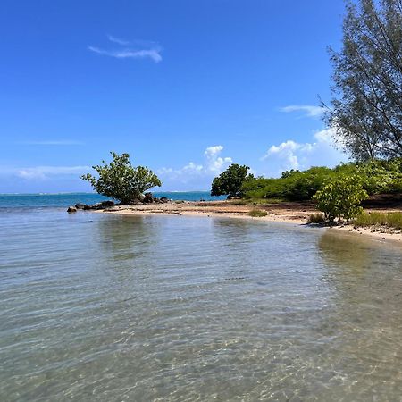 Villa Ho'A - Bord De Mer Avec Piscine Papetoai Luaran gambar