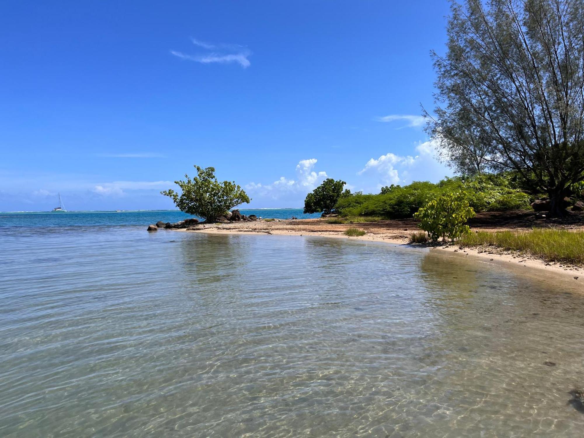 Villa Ho'A - Bord De Mer Avec Piscine Papetoai Luaran gambar